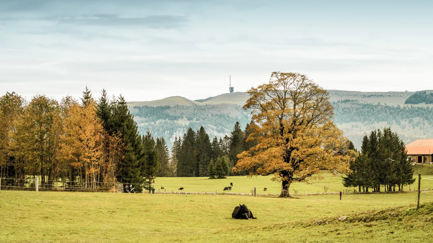 Chasseral
