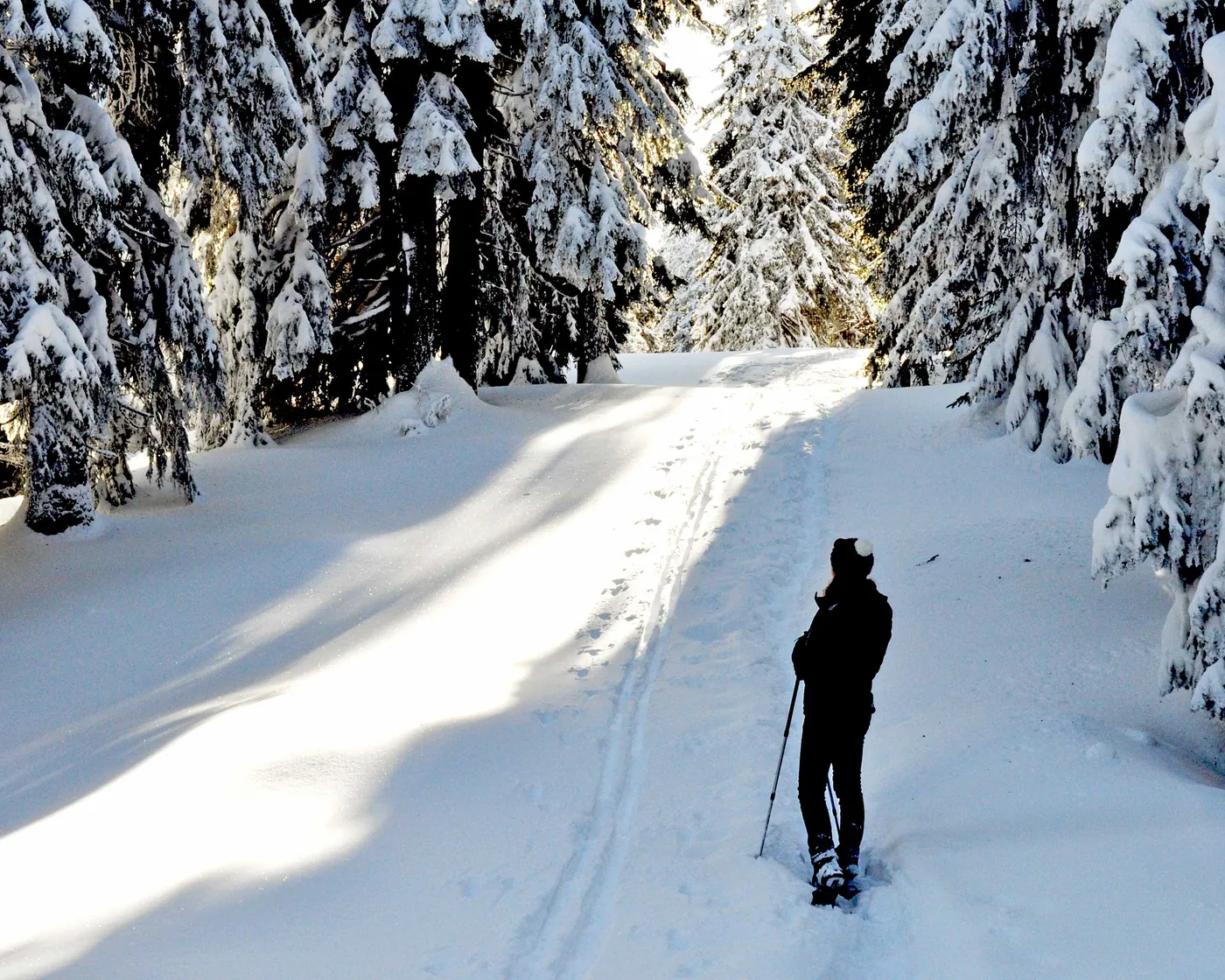 Spundis Trail