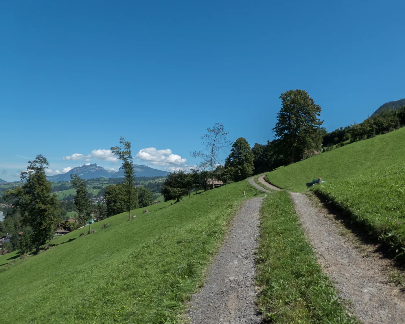 Alpine Bike (Kiental)