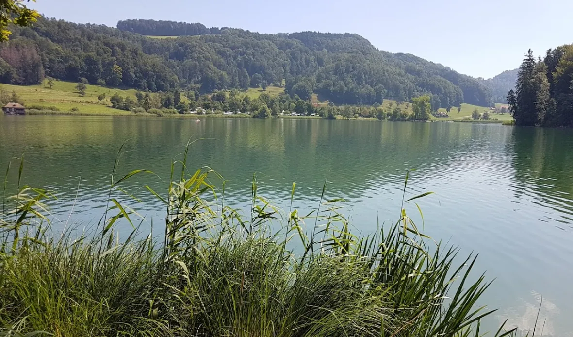 Türlersee