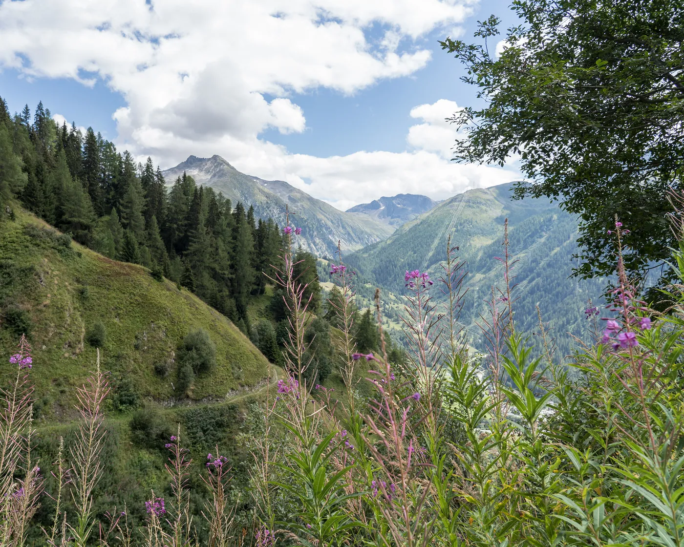 Gommer Höhenweg
