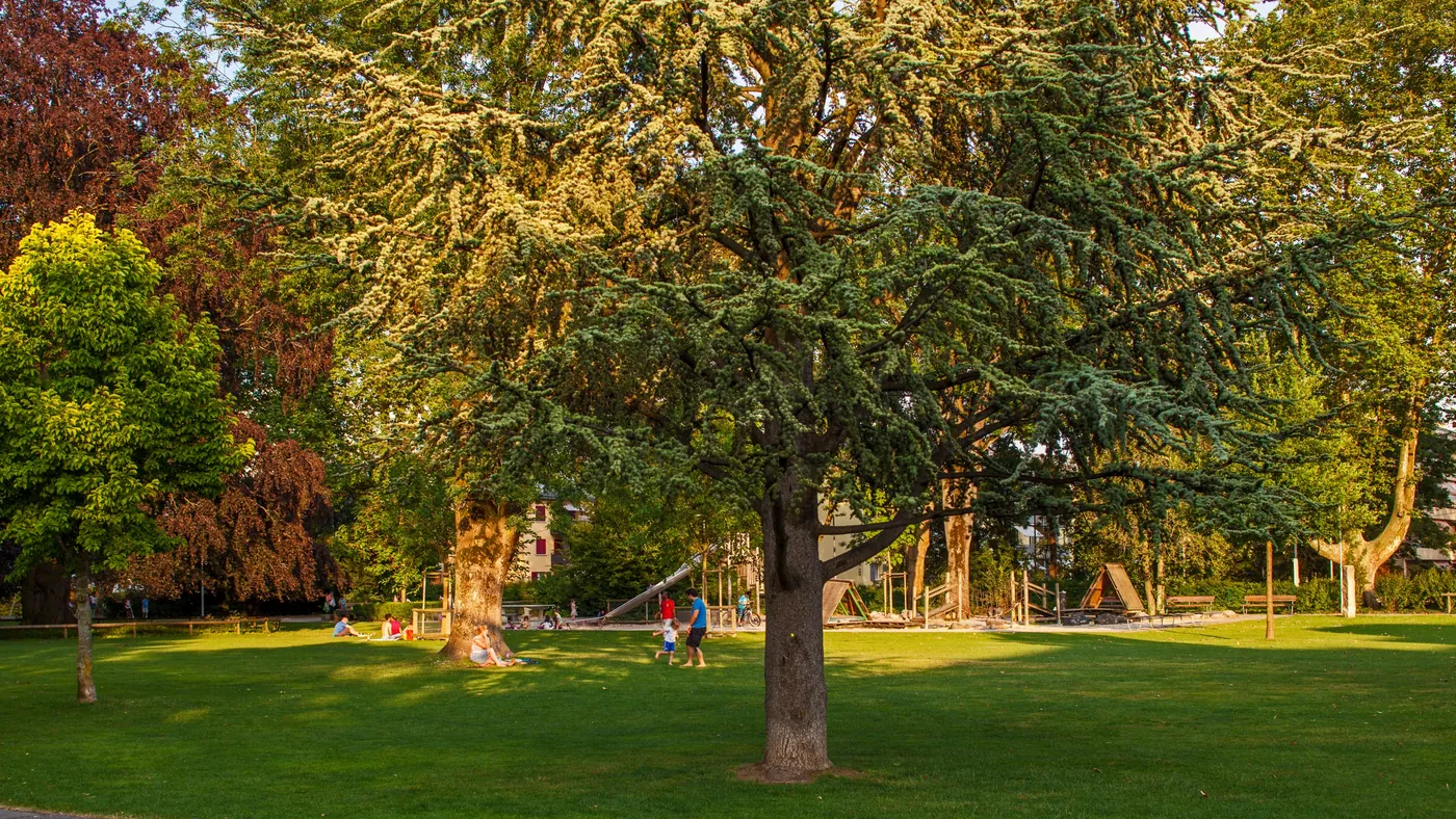 Park Miejski w Biel (Stadtpark)