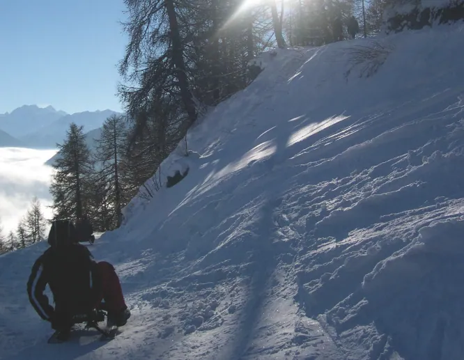 Saneczkowanie w Lötschental