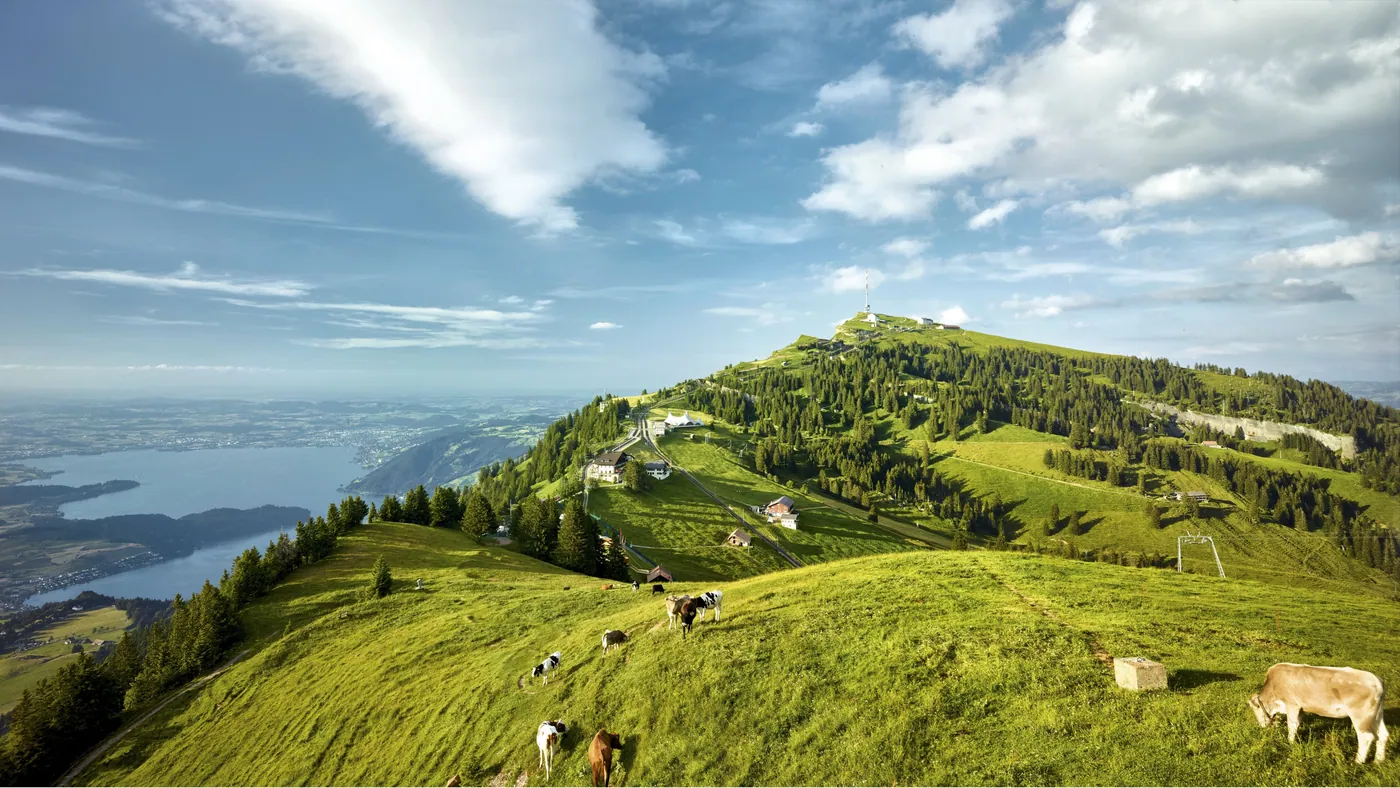 Küssnacht am Rigi