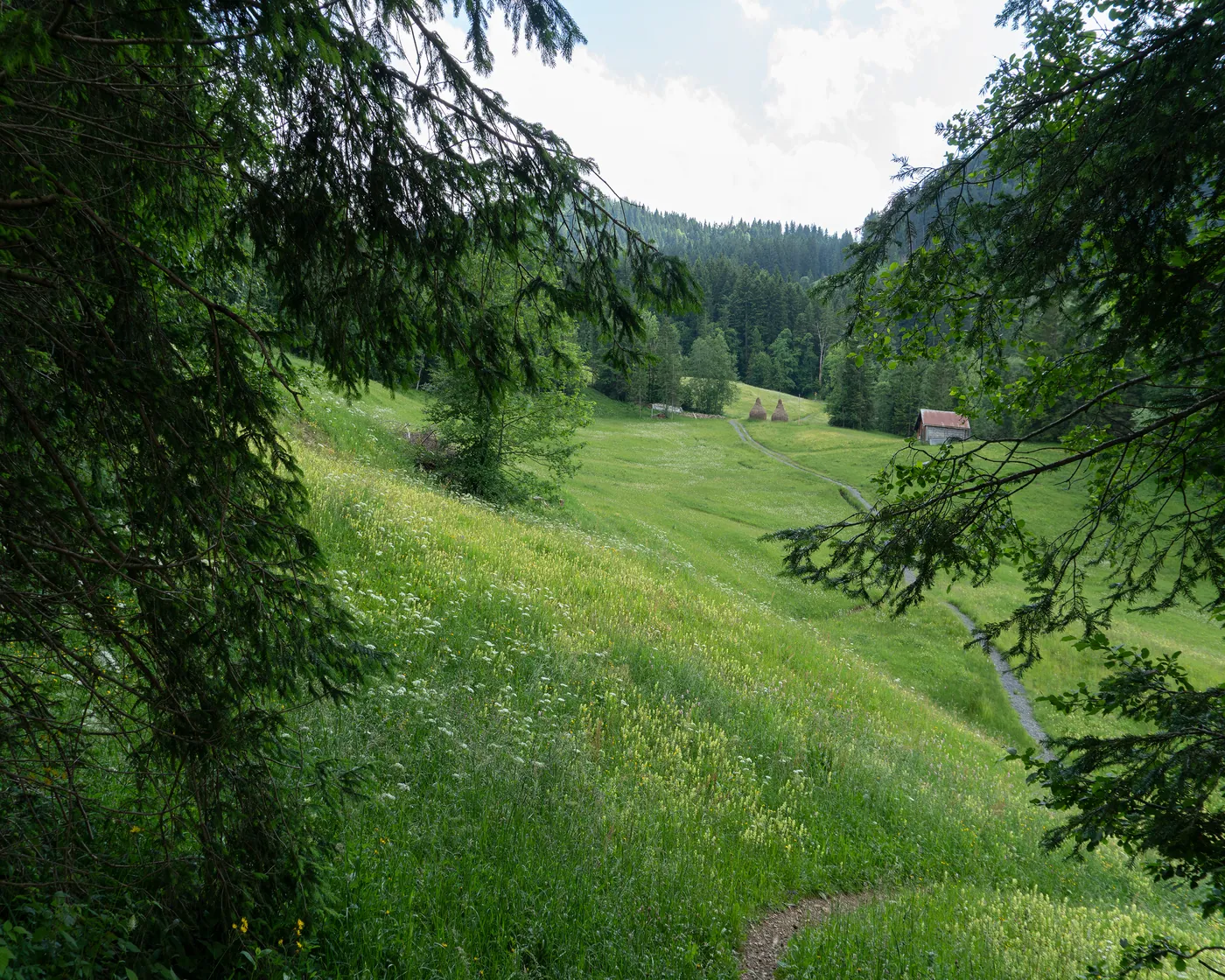 Mäderenweg