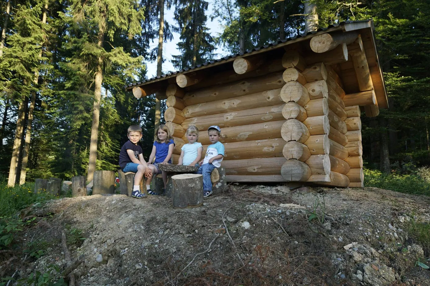 Puzzle Trail