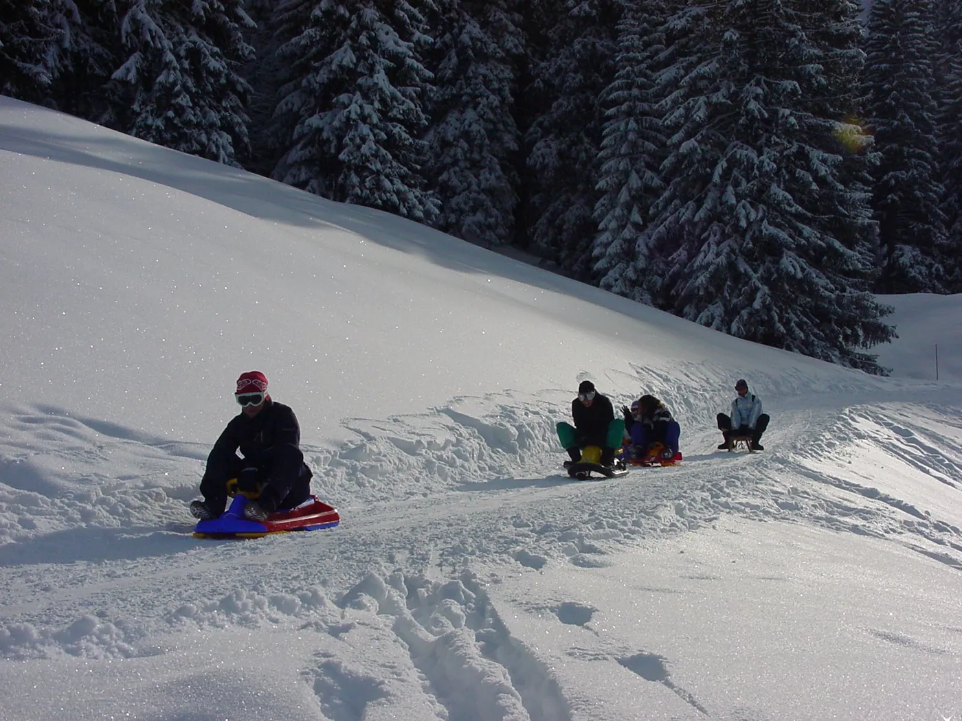 Tor saneczkowy Moléson
