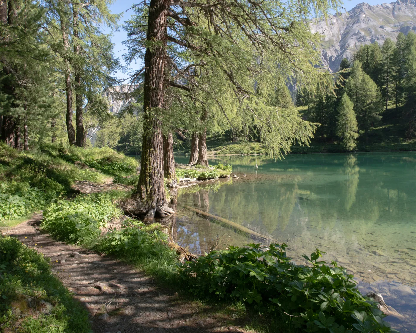 Via Albula/Bernina, etap 5