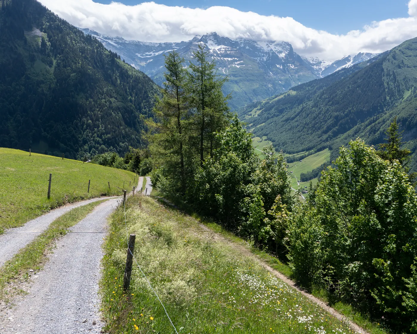 Weissenberge-Rundweg