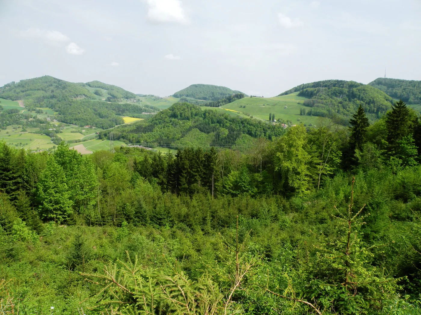 Pętla Wölflinswil–Oberhof