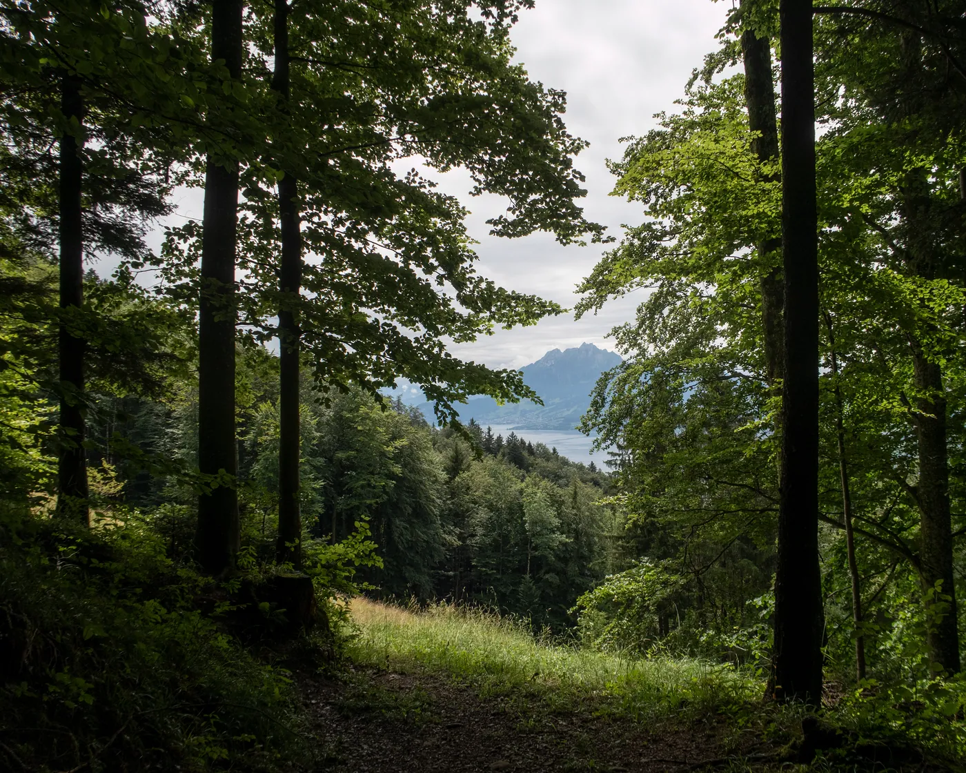 Schwyzer Höhenweg, etap 1