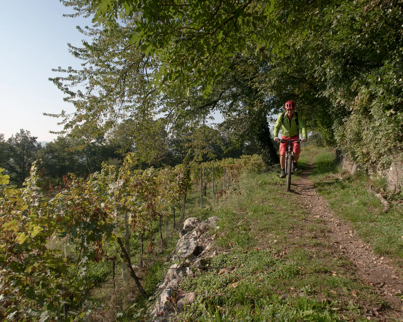 Piana del Laveggio Bike