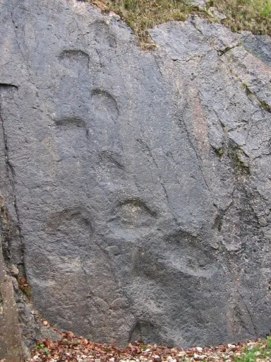 Ślady dinozaurów w La Heutte