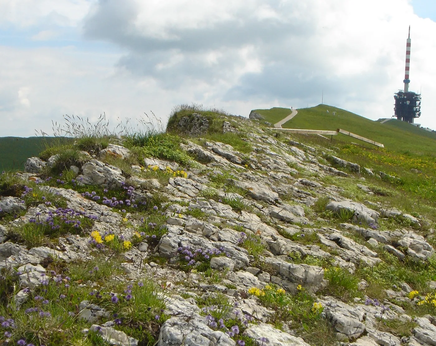 Ścieżka grzbietowa Chasseral