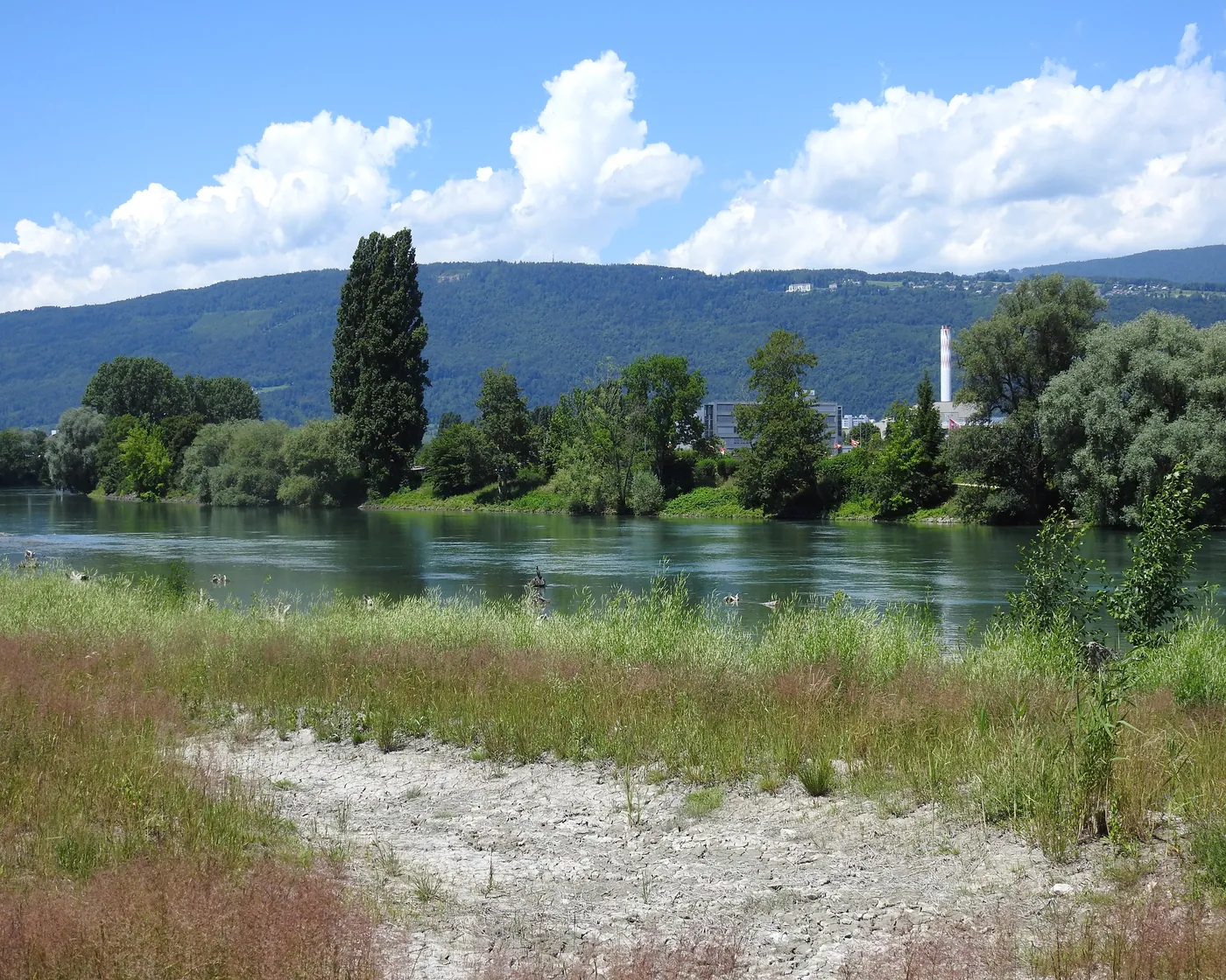 Lötschberg–Jura (Wimmis–Biel)