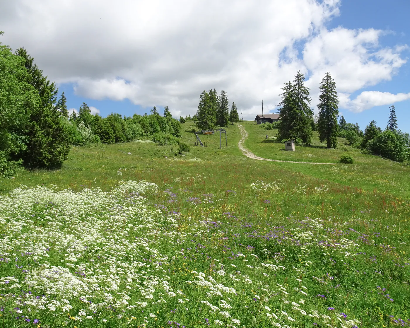 Sentier des Statues