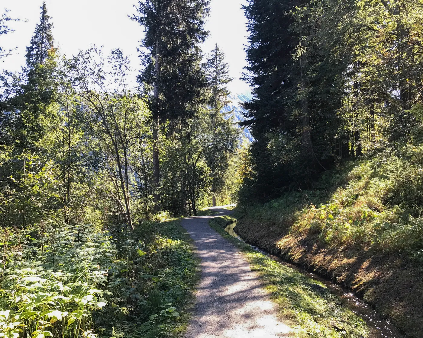 Sentier des Sens (La Tzoumaz)
