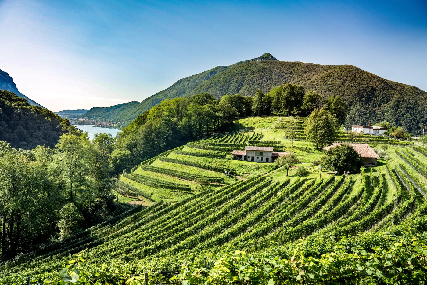 Mendrisio