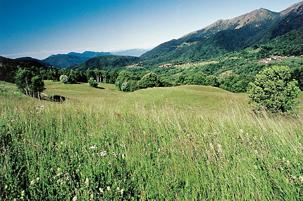 Szlak kasztanowy w Malcantone