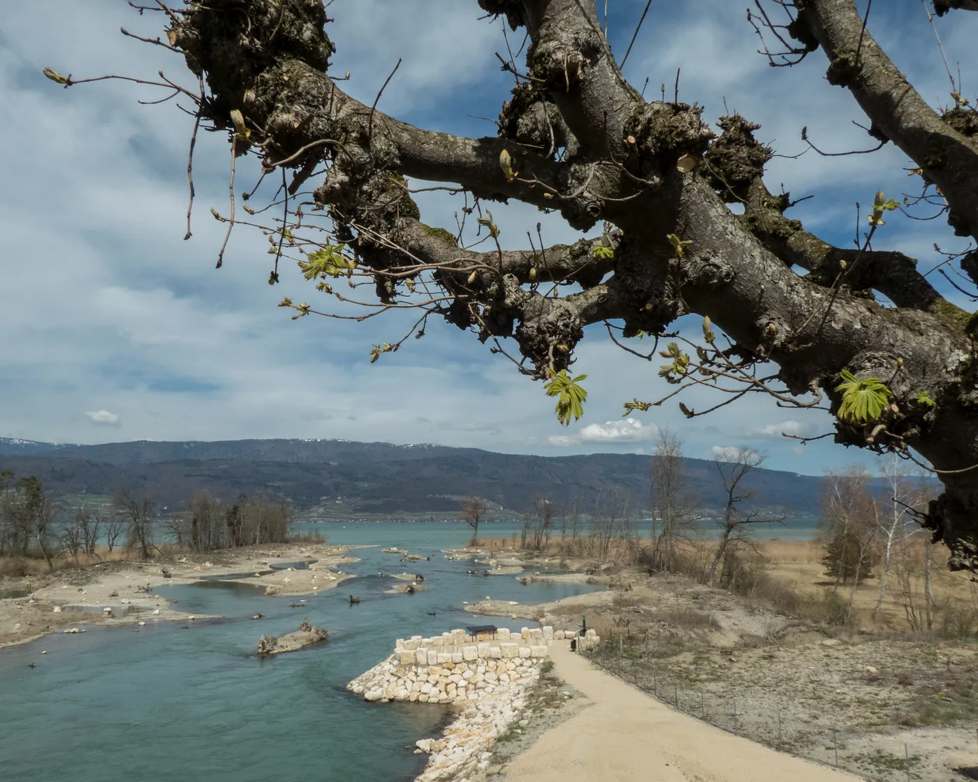 Seeland-Solothurn-Weg (cała trasa)