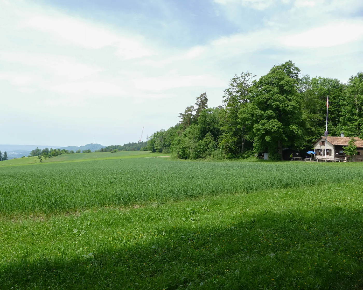 Albisgrat-Höhenweg