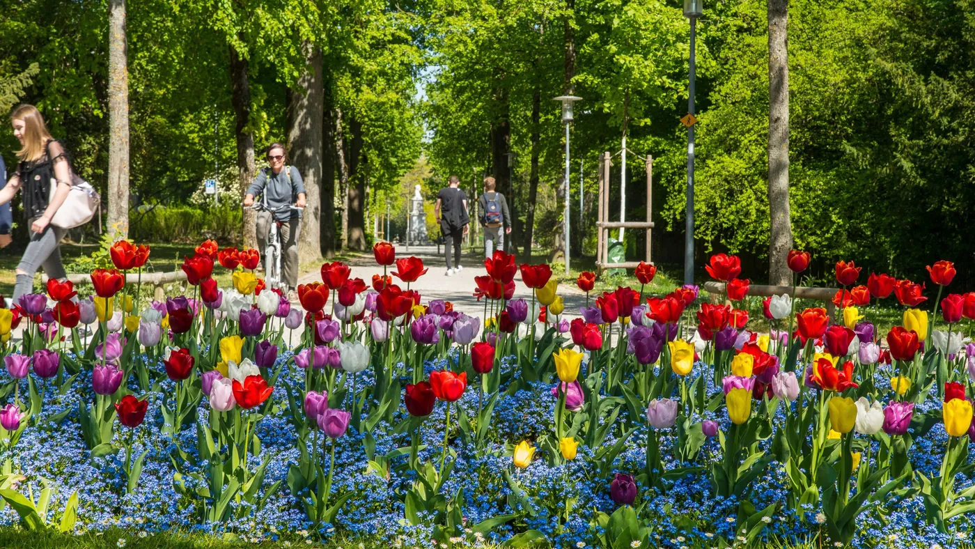 Promenada Fäsenstaub