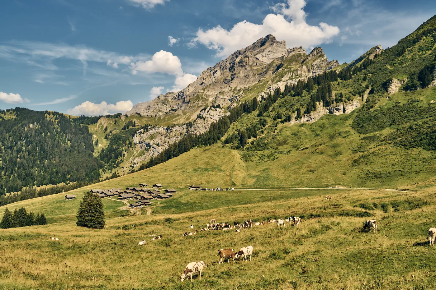 Villars-sur-Ollon — balkon nad Rodanem