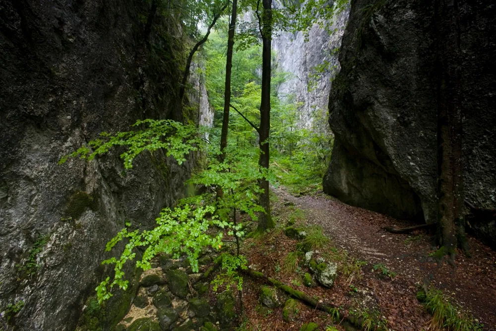 Weissenstein-Passwang-Weg — etap 2