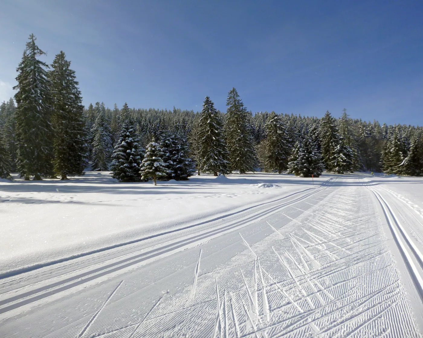 Piste des Premiers Flocons