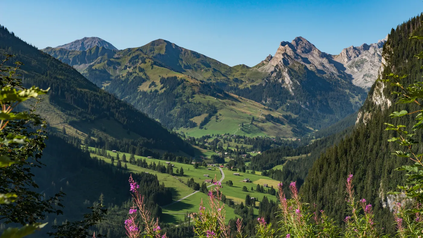 Diemtigtal