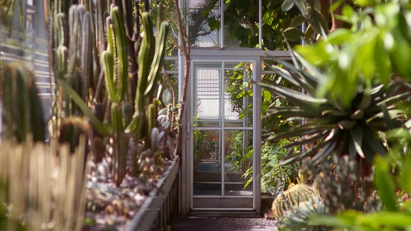 Ogród Botaniczny w St. Gallen