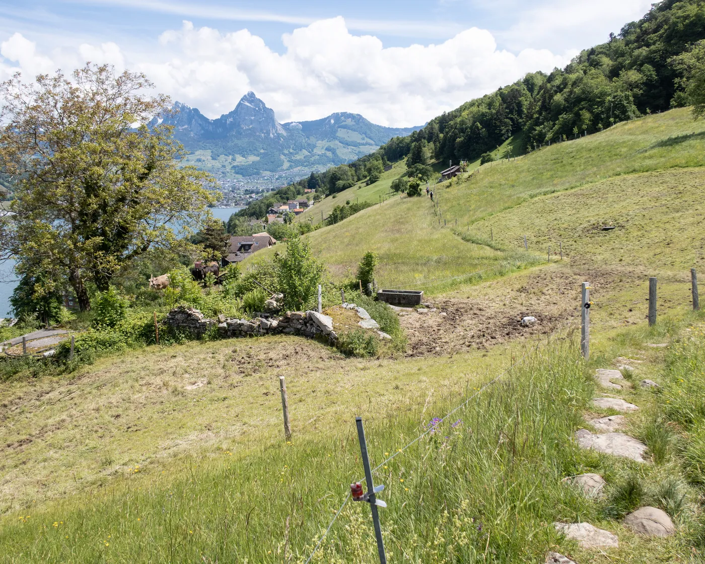 Waldstätterweg