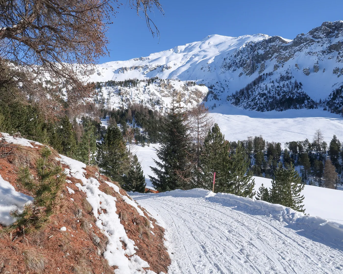 Senda Alp da Munt–Alp Champatsch