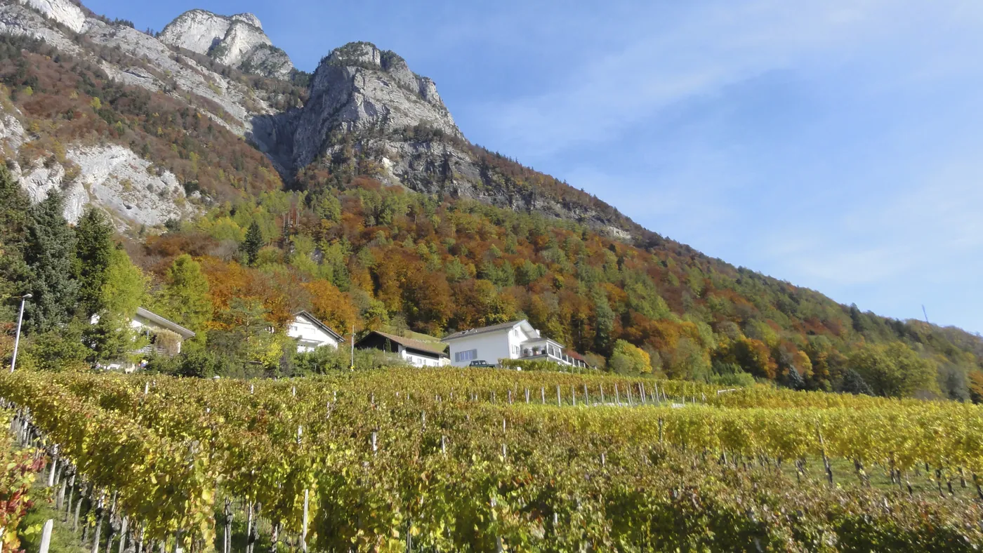 Szlak winny Sargans–Mels