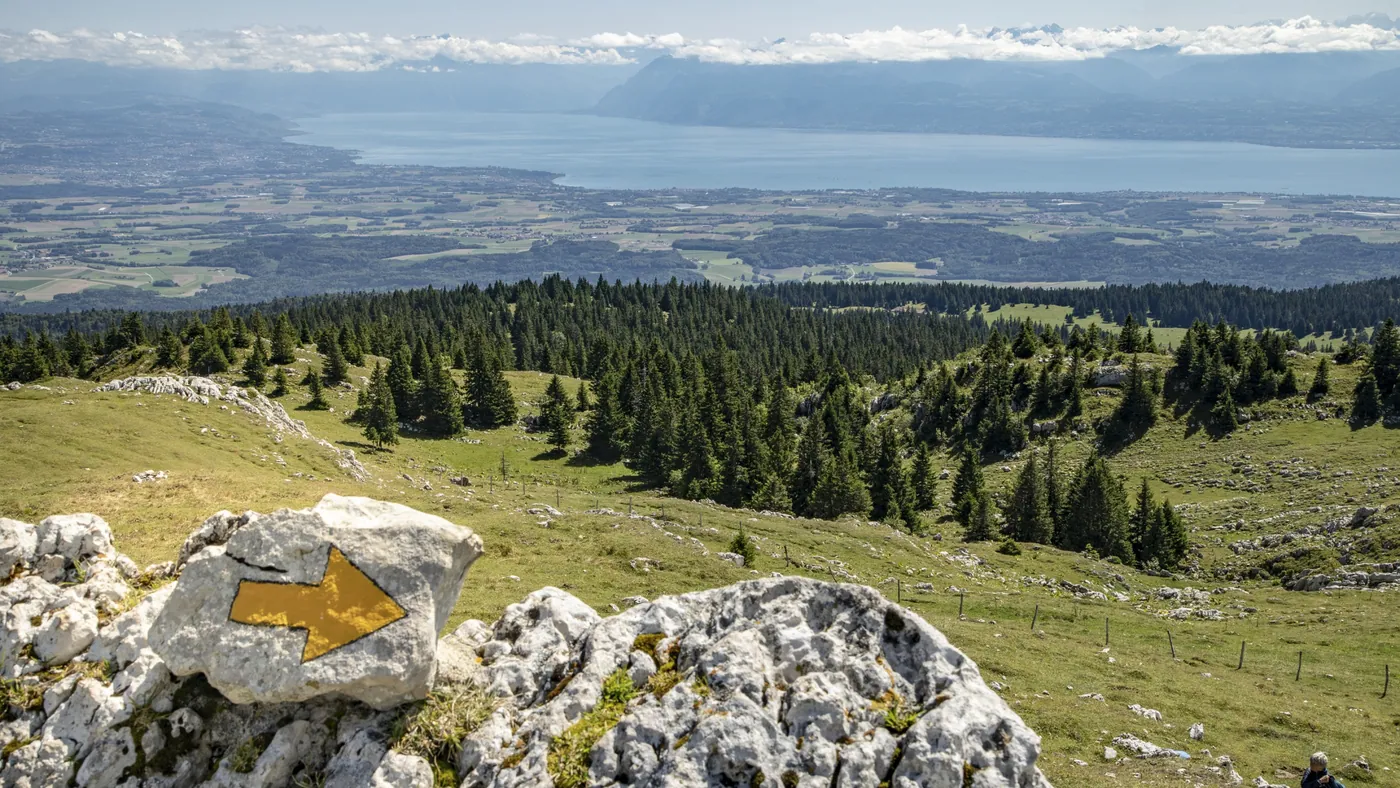 Jura Crest Trail