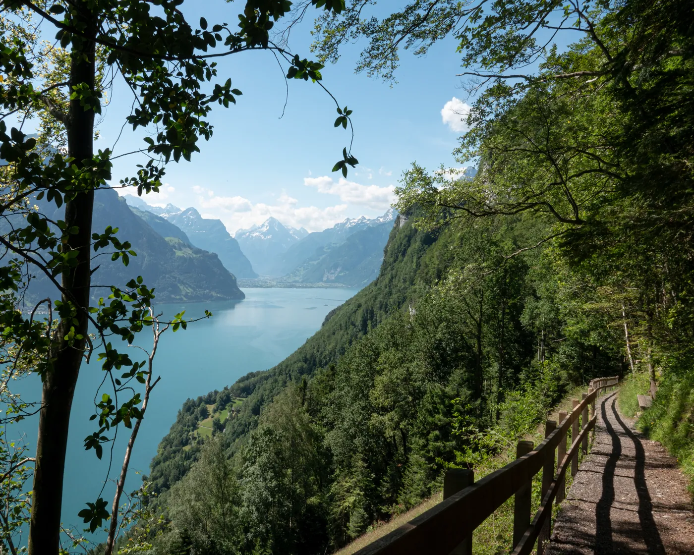 Weg der Schweiz