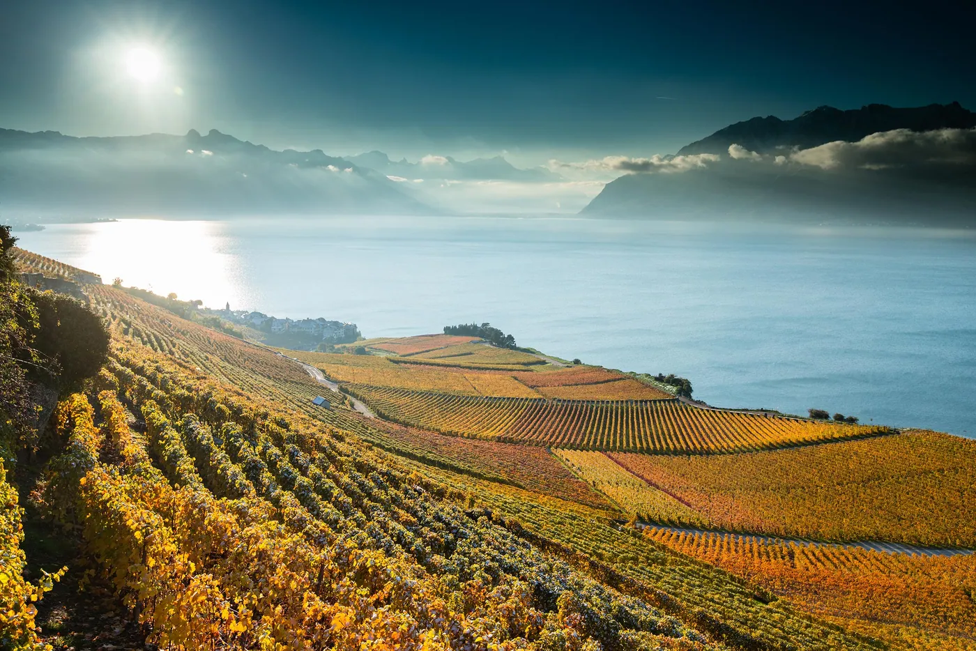 Szlak winny Lavaux