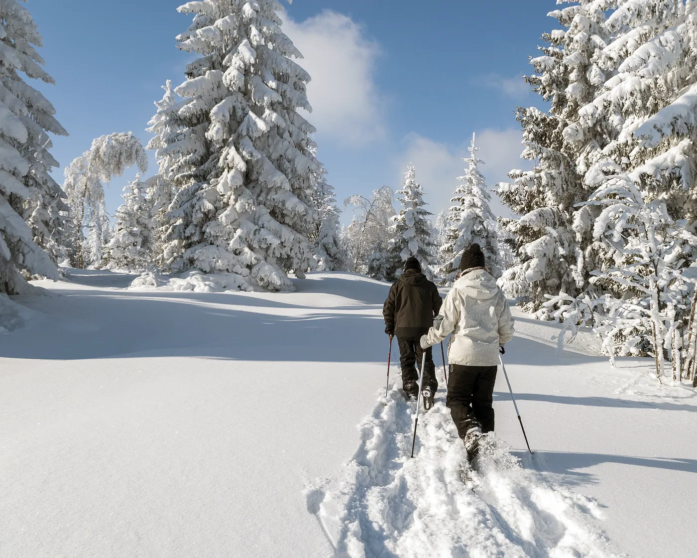 Raten Trail