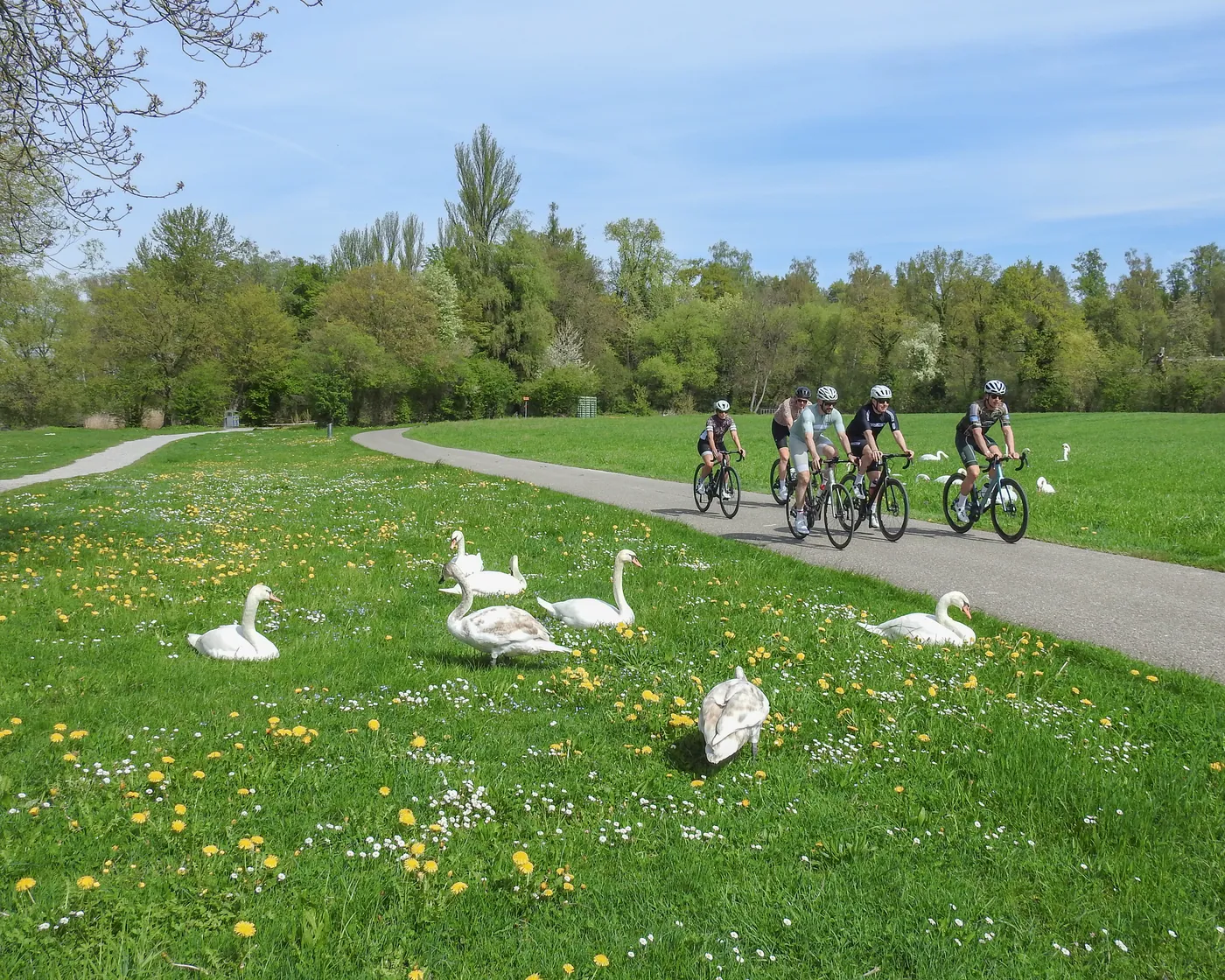 Glatt-Route
