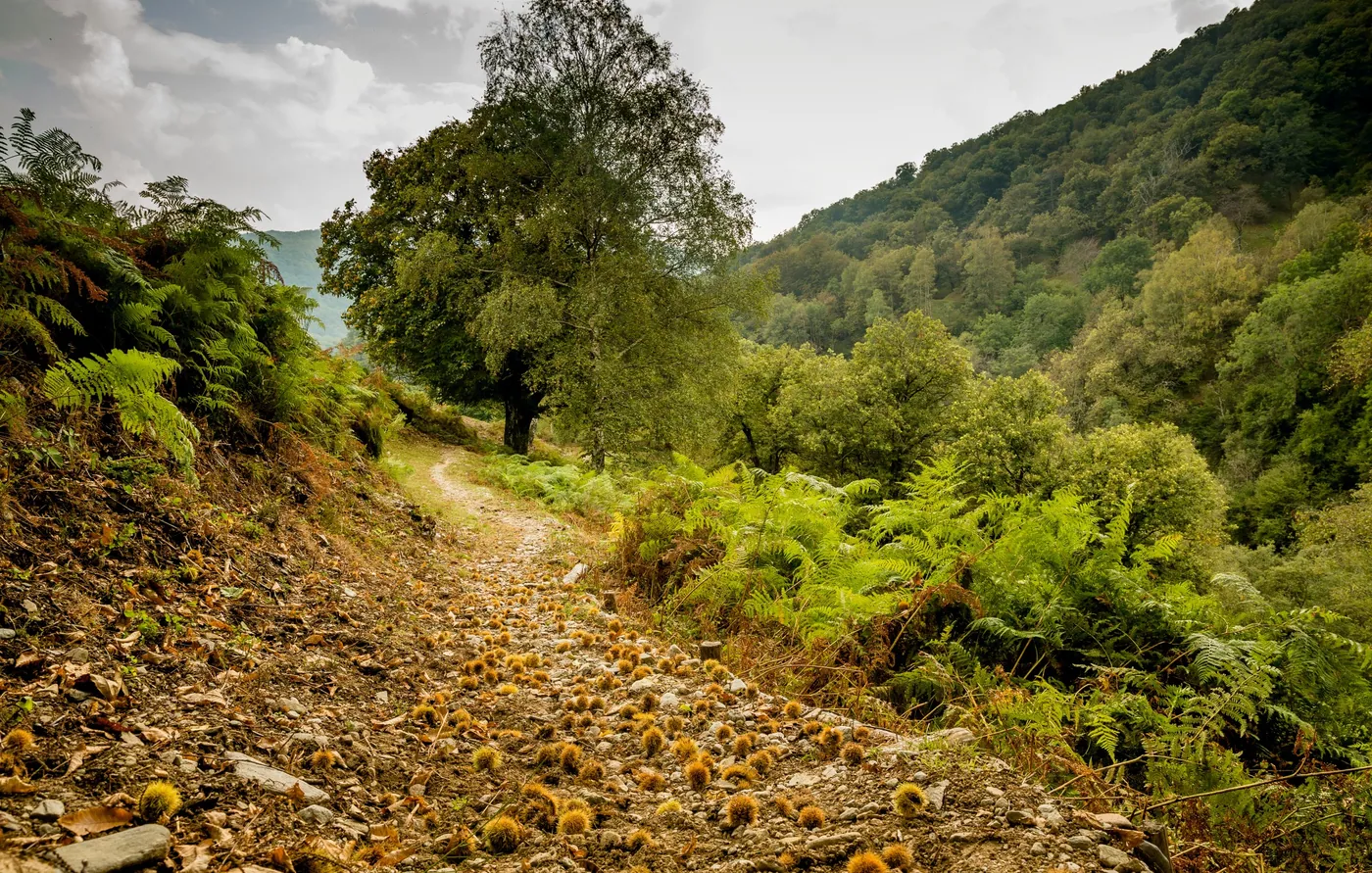 Trasa rowerowa Castagno