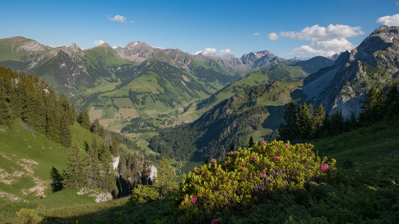 Schwenden-Grimmialp
