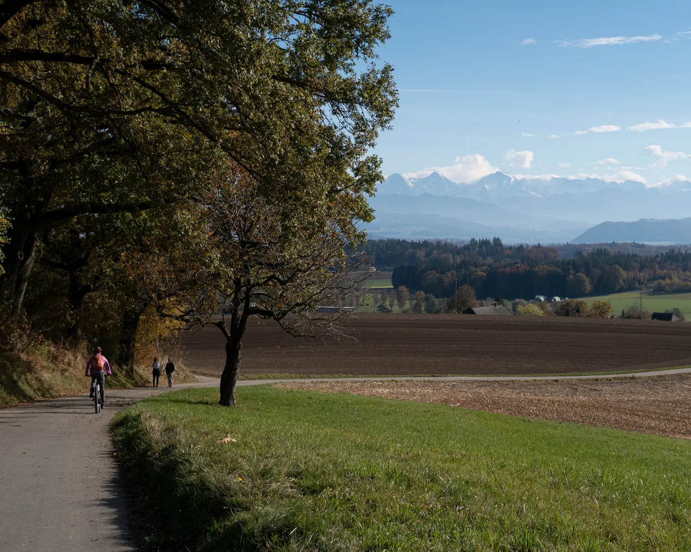 Frienisberg-Fernsichtroute