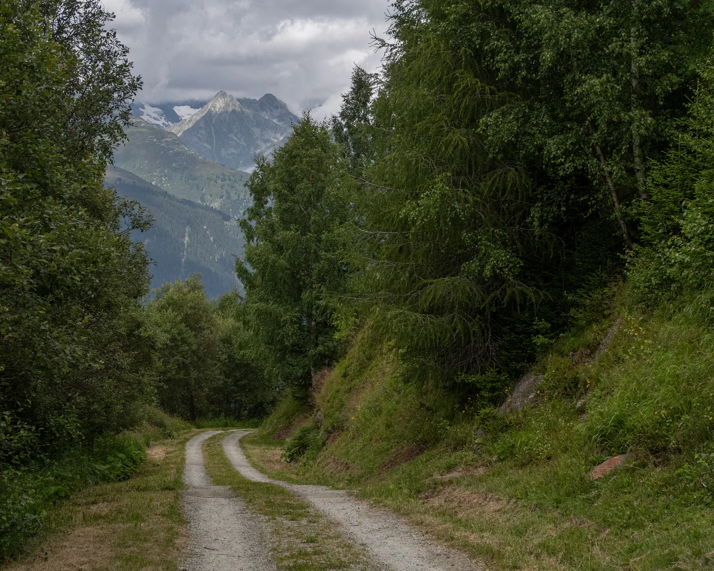 Alpine Bike (Oberalppass)