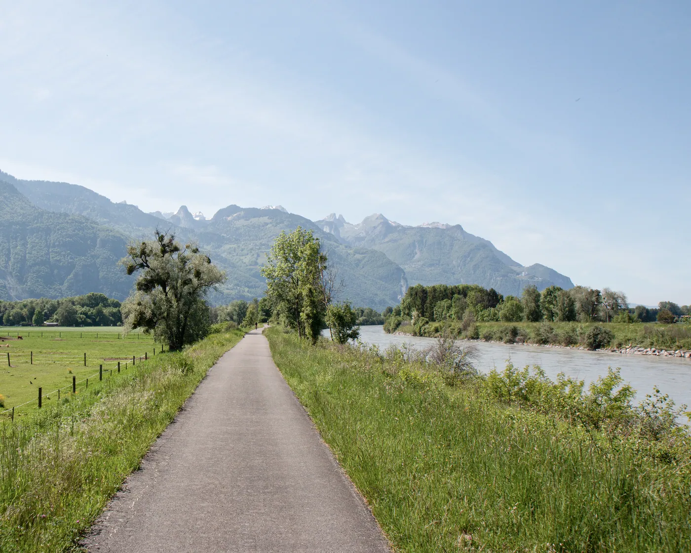Rhône Skate