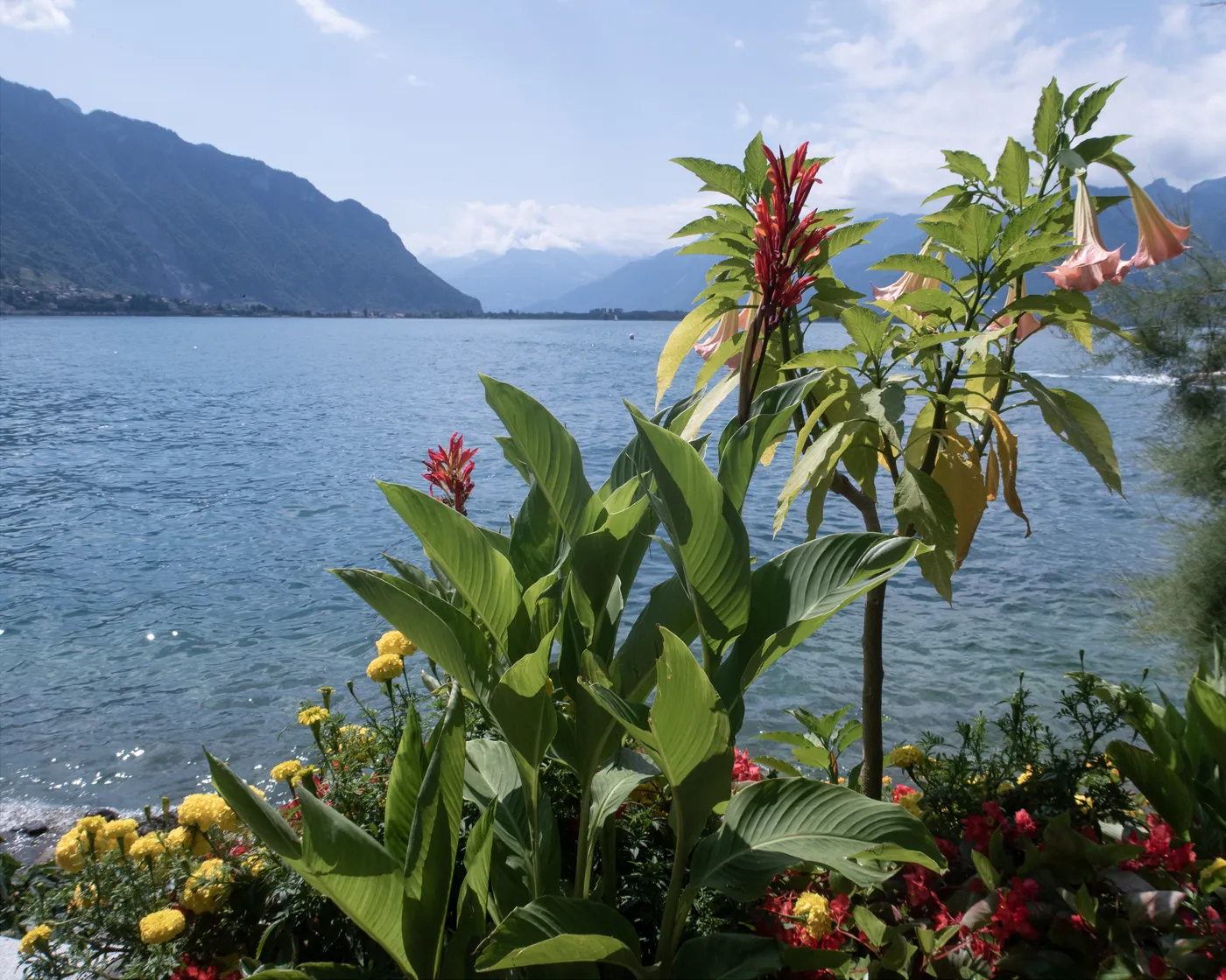 Promenade Montreux Riviera