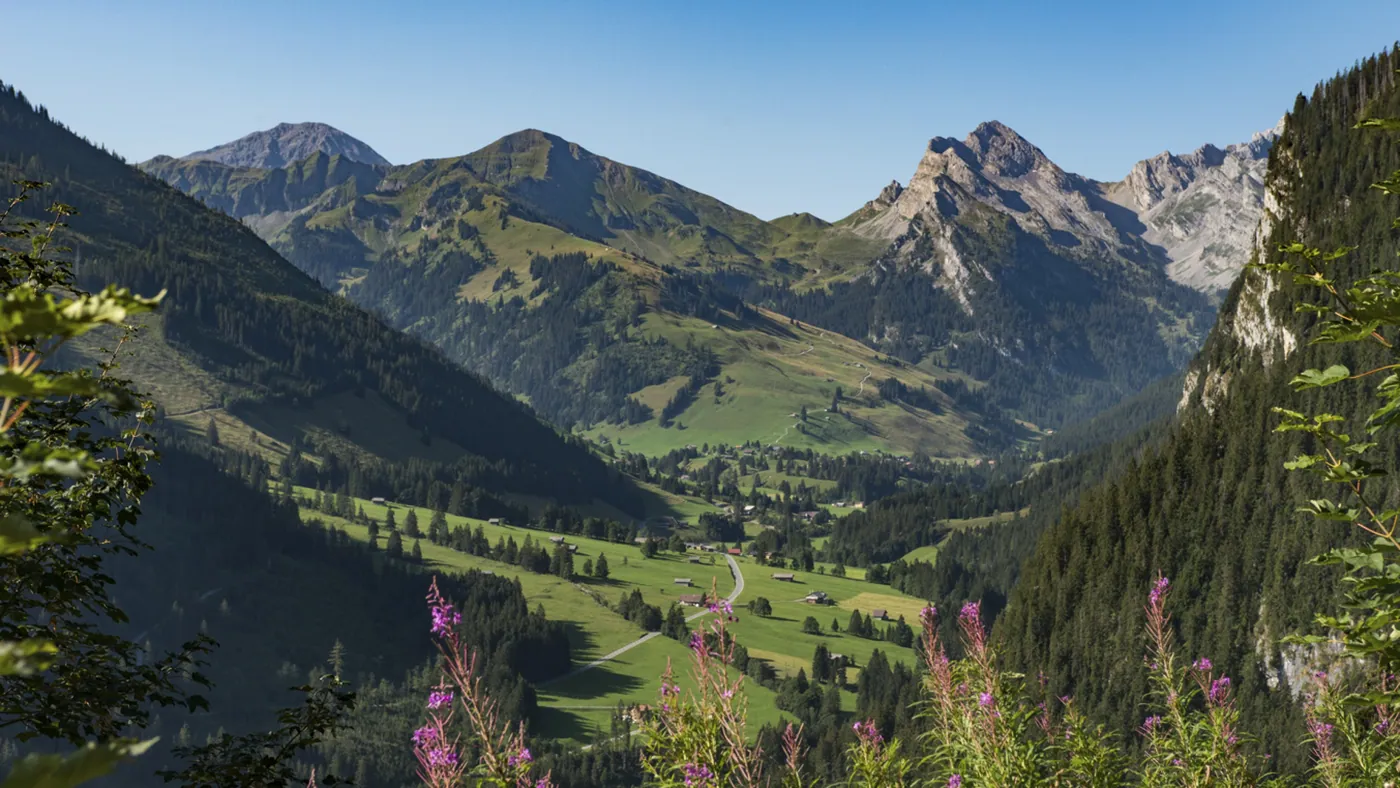 Park przyrody Diemtigtal
