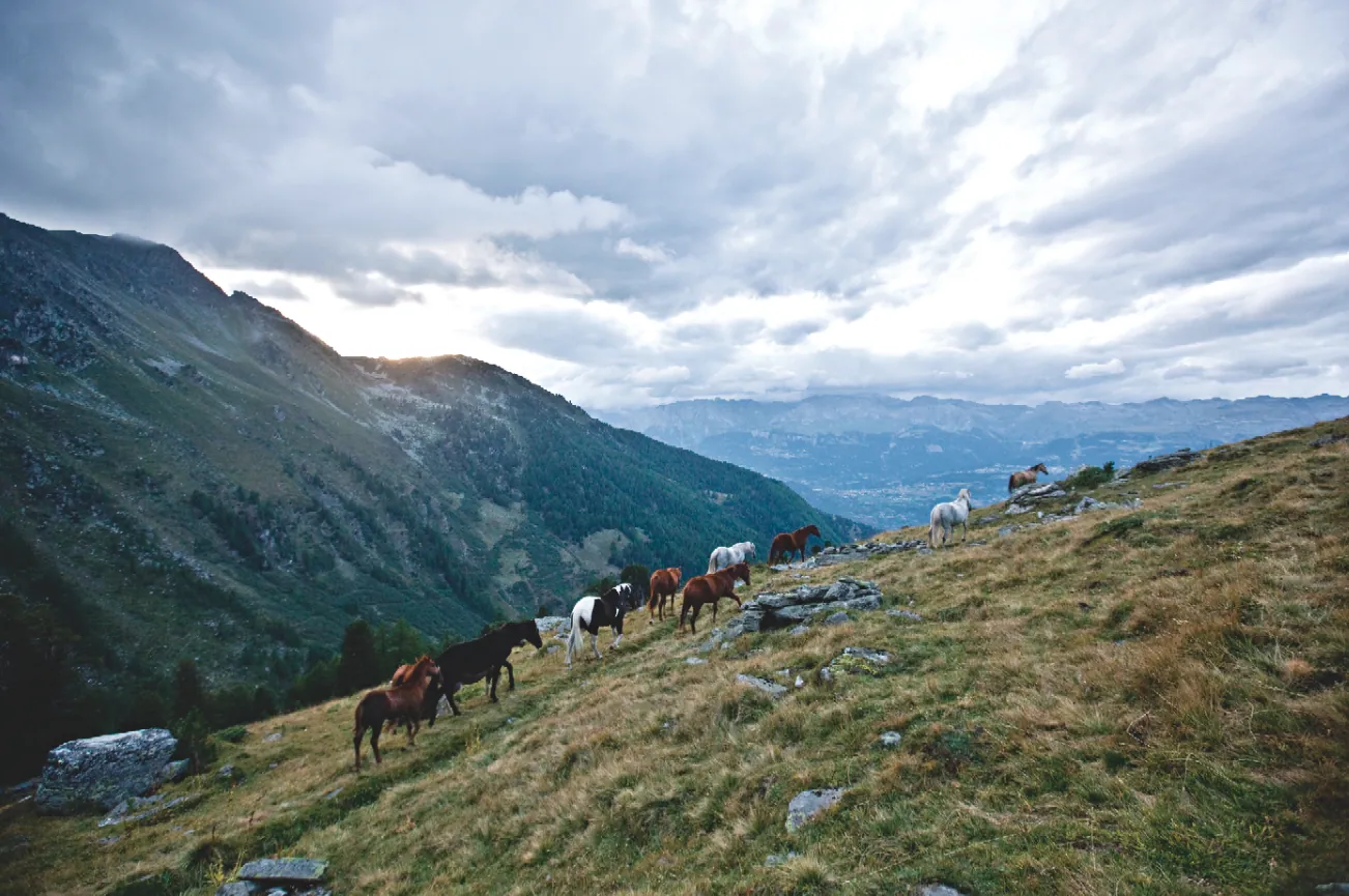 Vallon de Réchy