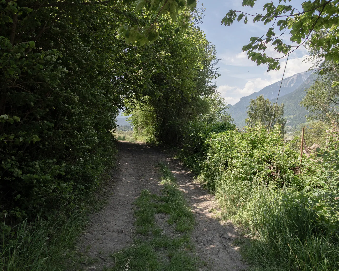 Jakobsweg Gryzonia (Chur–Tamins)