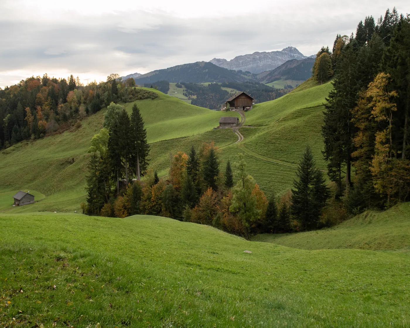 Kulturspur Appenzell, etap 1