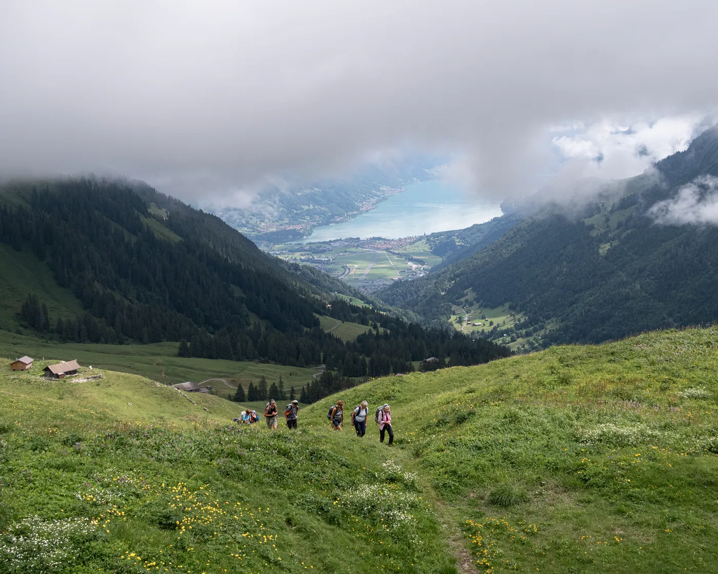 ViaBerna (Suld–Saxeten)